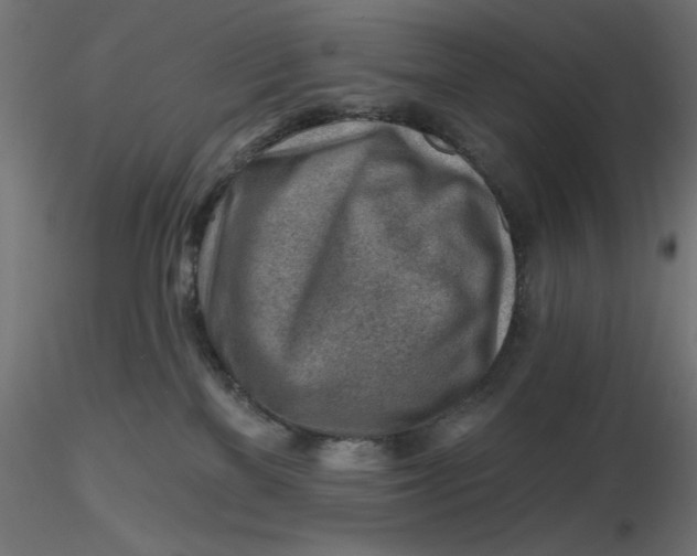 X0000116670137200912291706