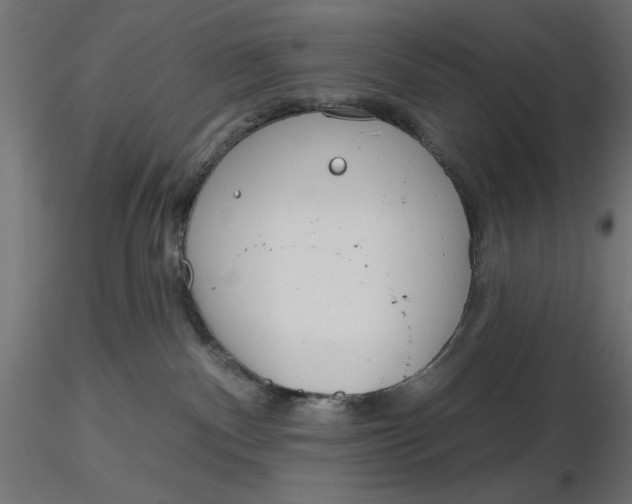 X0000116670140200912291706