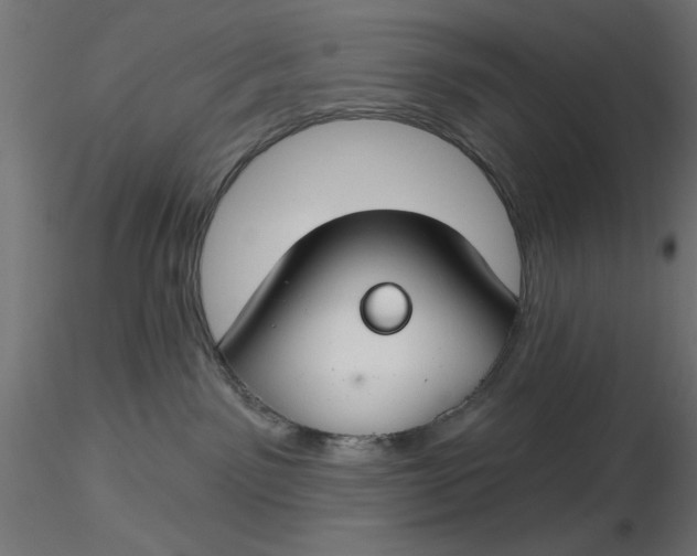 X0000116670141200912291706