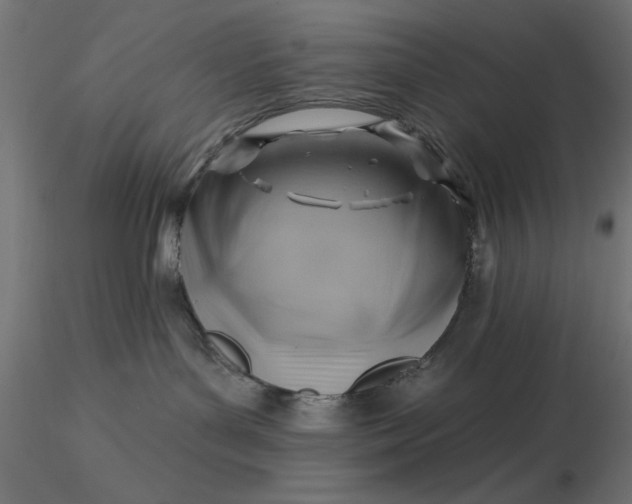 X0000116670143200912291706