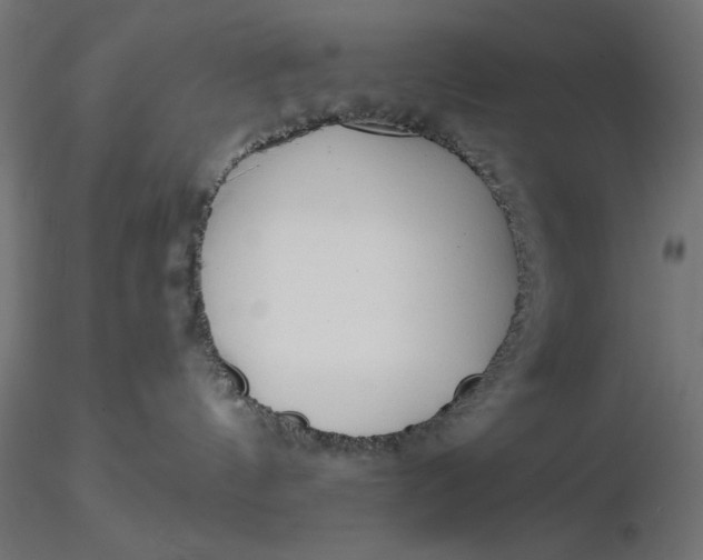 X0000116670144200912291706