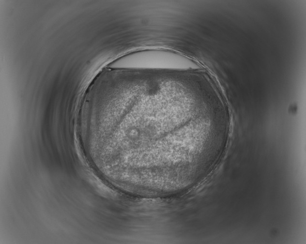 X0000116670145200912291705