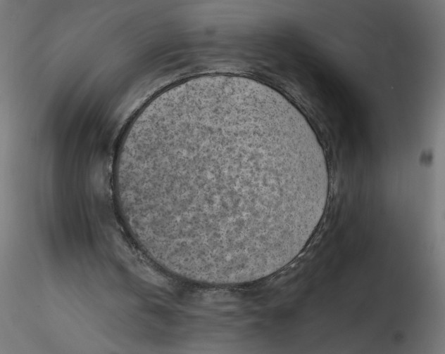 X0000116670146200912291705