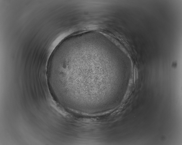 X0000116670147200912291705