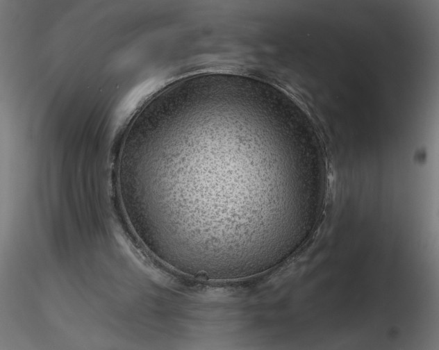 X0000116670149200912291705