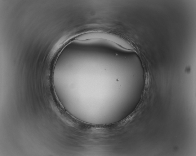 X0000116670150200912291705