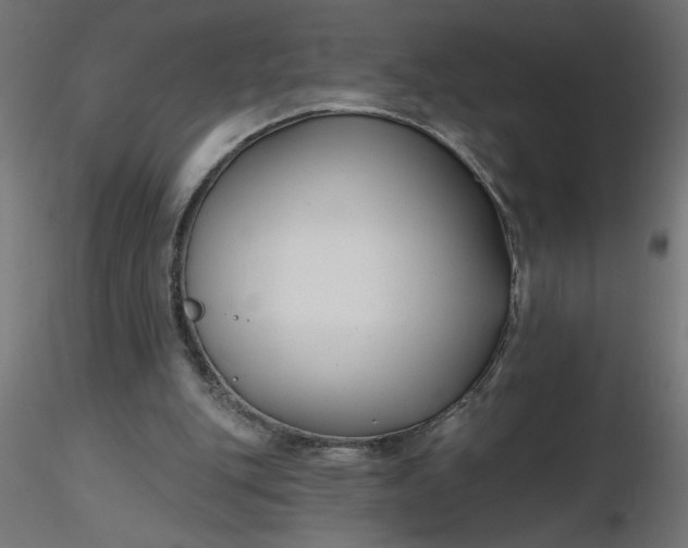 X0000116670151200912291705