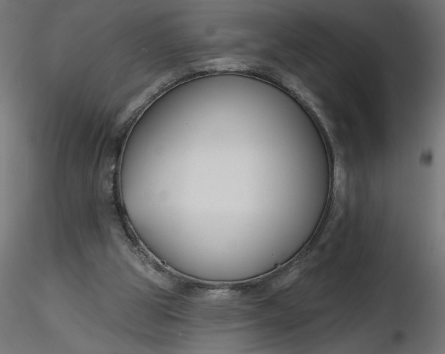 X0000116670153200912291705