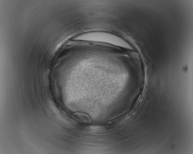 X0000116670154200912291705