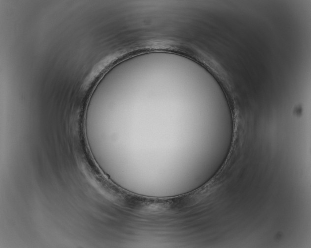 X0000116670155200912291705