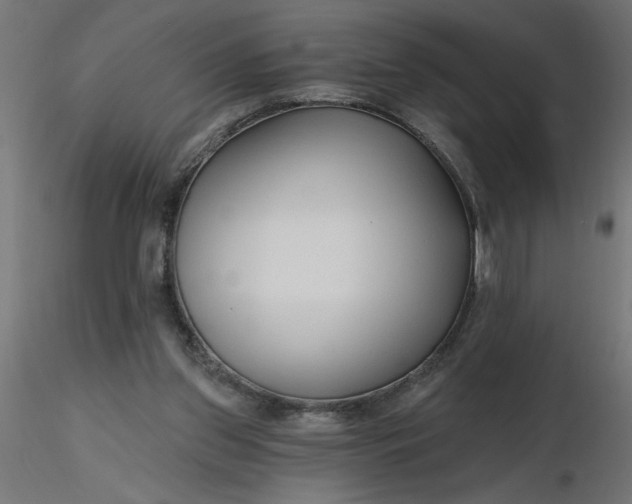 X0000116670157200912291705