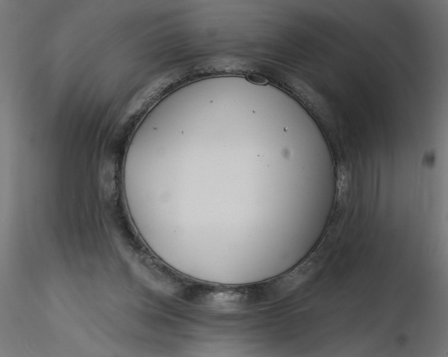 X0000116670158200912291705