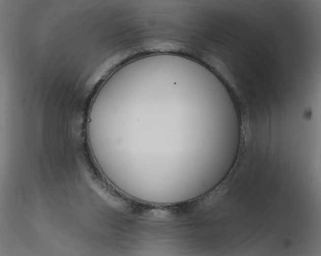 X0000116670159200912291705