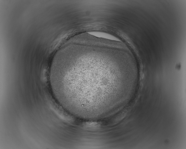 X0000116670161200912291705