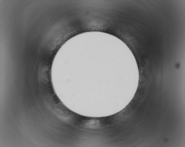 X0000116670162200912291706