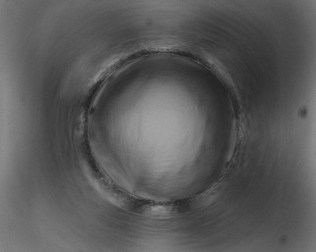 X0000116670163200912291706