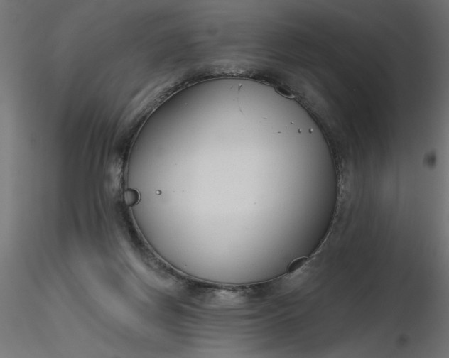 X0000116670166200912291706