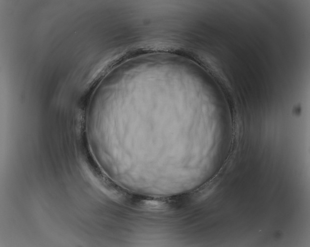 X0000116670167200912291706