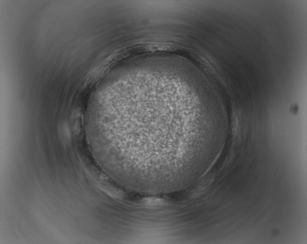 X0000116670169200912291706