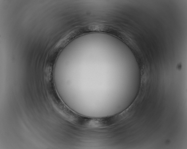 X0000116670171200912291706