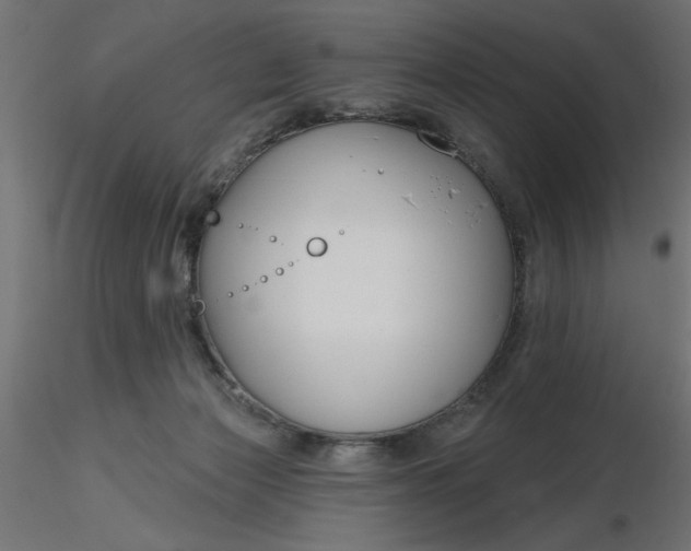 X0000116670173200912291706