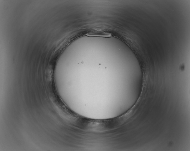 X0000116670174200912291706