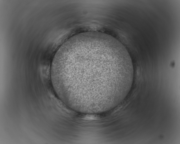 X0000116670177200912291706