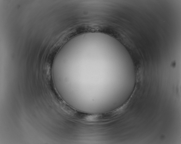 X0000116670178200912291706