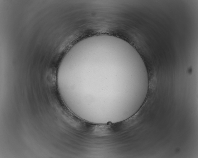 X0000116670179200912291706