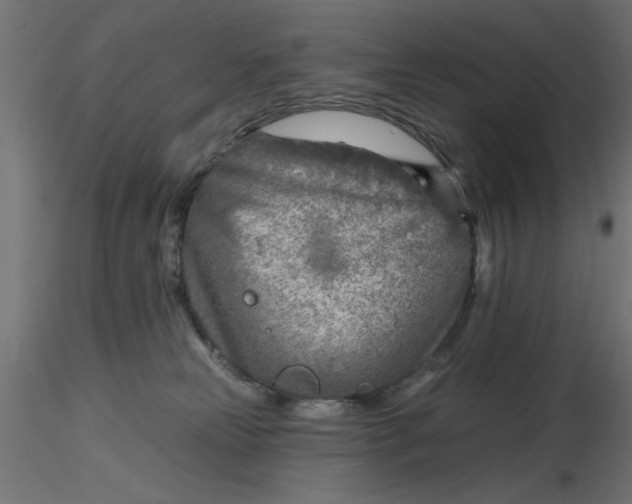 X0000116670181200912291706