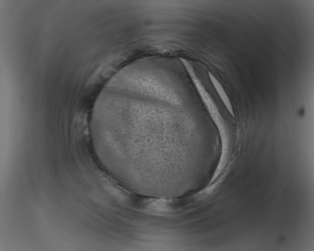 X0000116670182200912291706