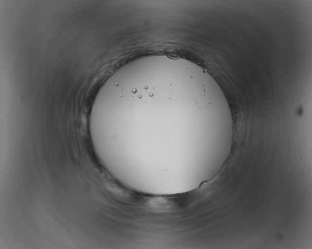 X0000116670183200912291706