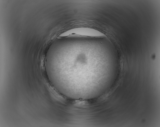 X0000116670185200912291706