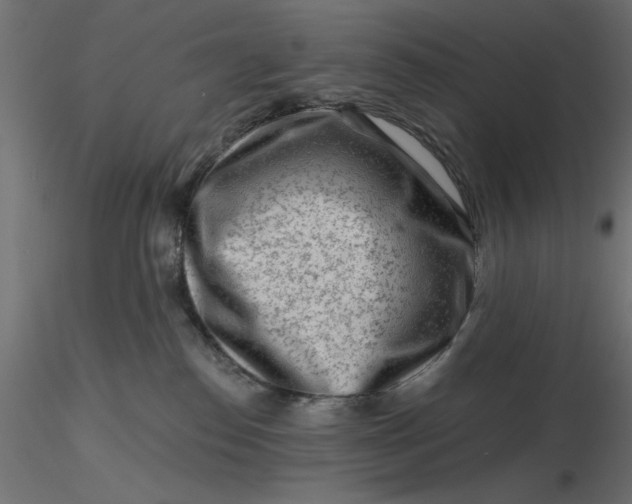 X0000116670186200912291706