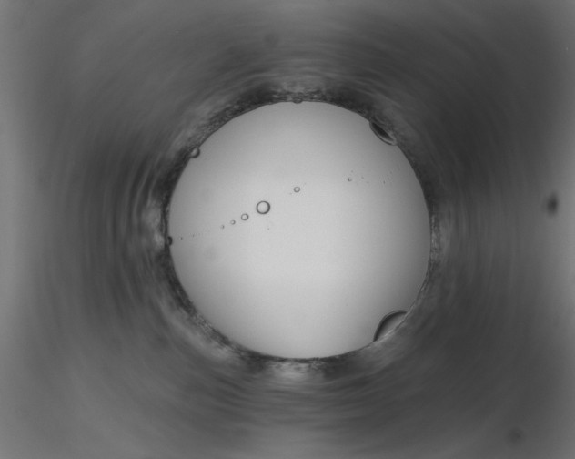 X0000116670187200912291706