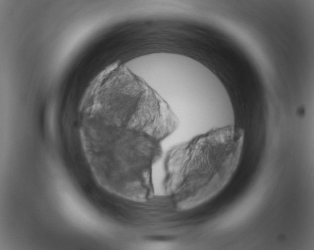 X0000116670189200912291706