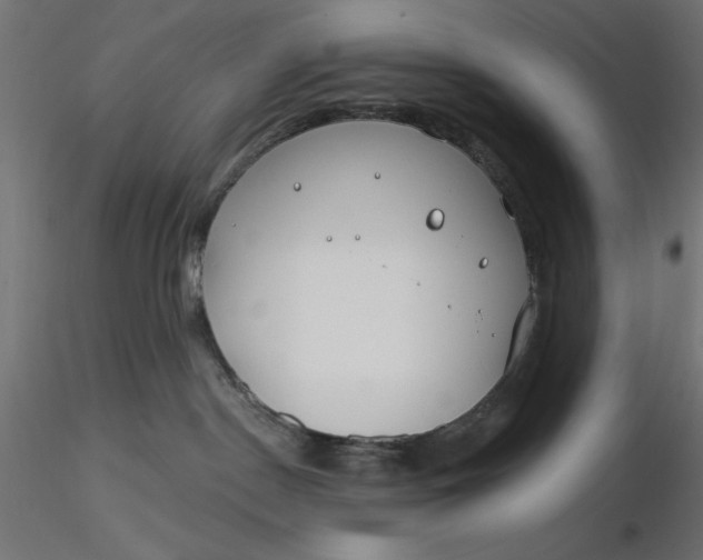 X0000116670190200912291706