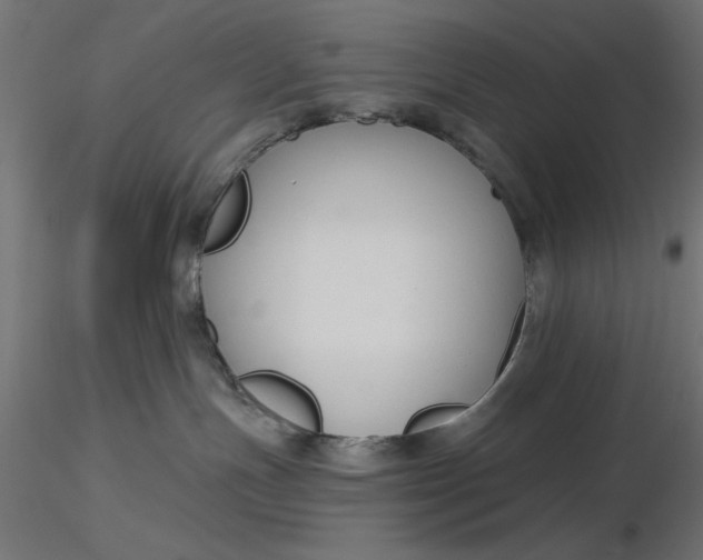 X0000116670191200912291706