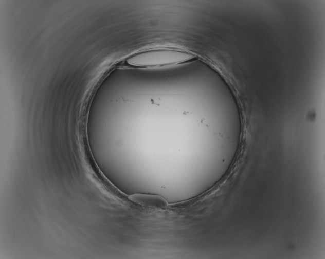 X0000116670193200912291705