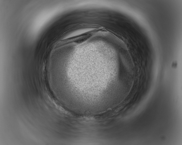 X0000116670194200912291705