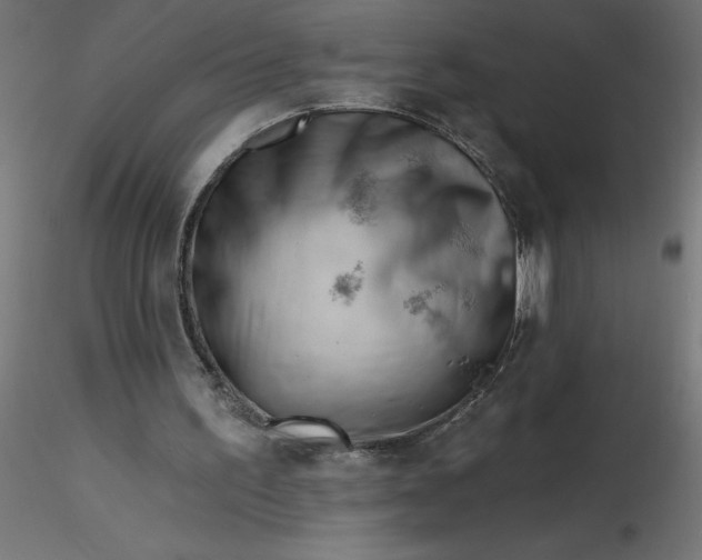 X0000116670195200912291705