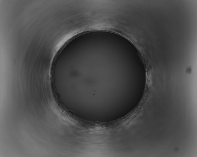 X0000116670196200912291705