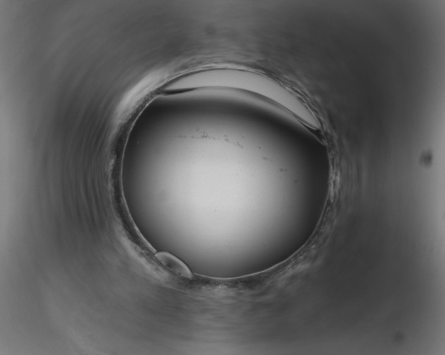 X0000116670197200912291705