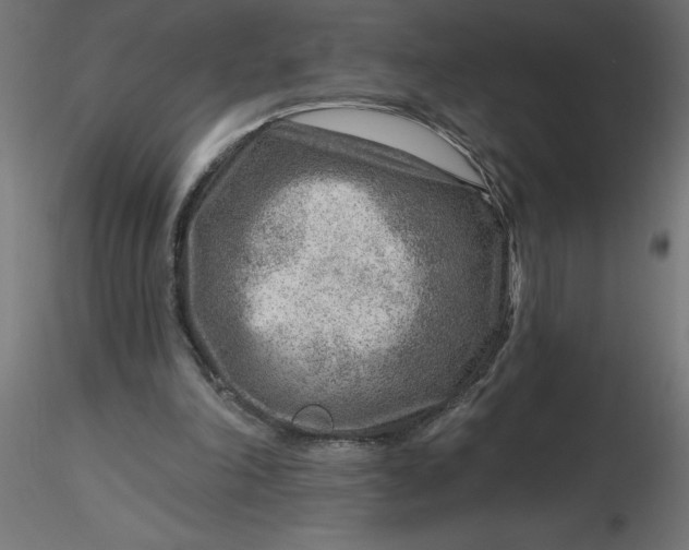 X0000116670198200912291705