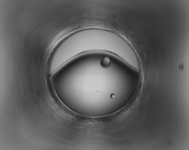 X0000116670199200912291705