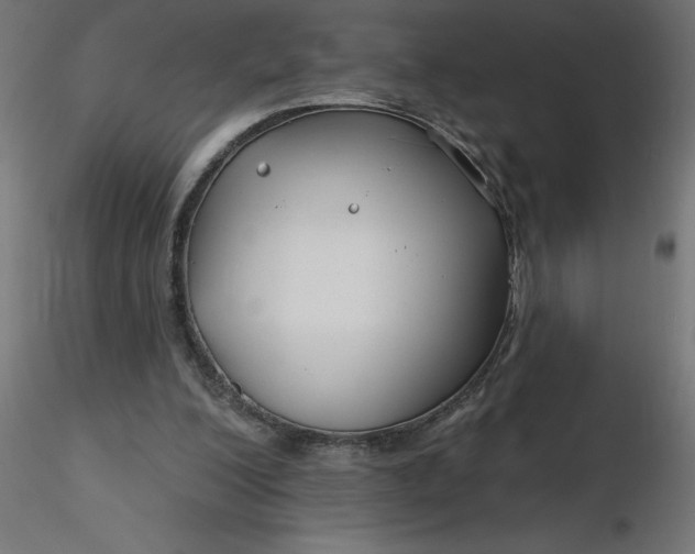 X0000116670200200912291705