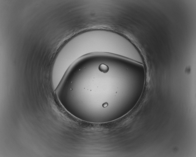 X0000116670201200912291705