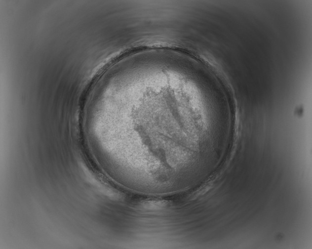 X0000116670202200912291705