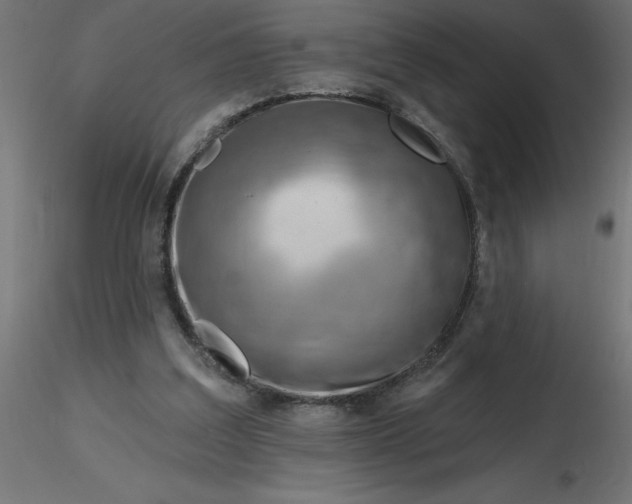 X0000116670203200912291705