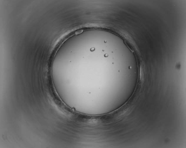 X0000116670204200912291705